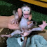 YsQiN0ug4Uk-channel-avatar-MonkeyYuki