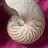 @w65vdB's avatar