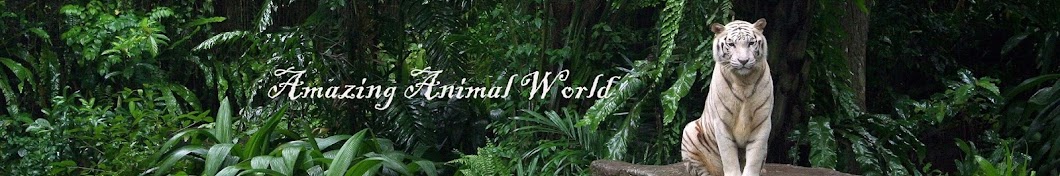 Amazing Animal World Awatar kanału YouTube