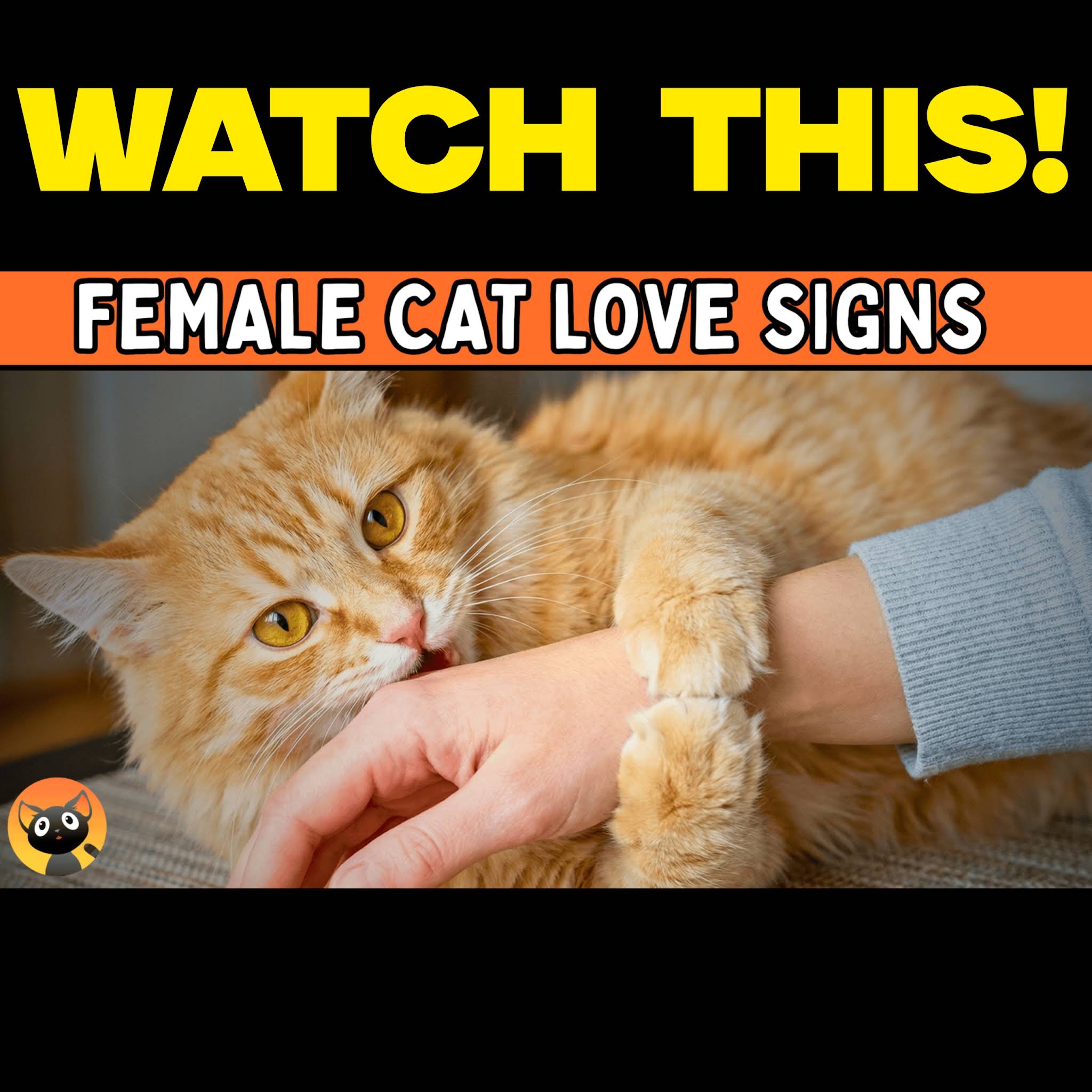 Post from Cat Z
