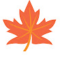 Maple Online Learning