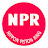 NPR channel (NIPPON PISTON RING)