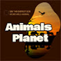 Animals  Planet