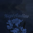 VRkxi3ekoAk-channel-avatar-Nept Audios