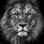 Alpha Mindset