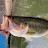 @BluegillAndBass01