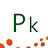 PK Electronics Pakistan