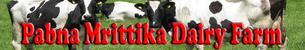 Pabna mrittika dairy Farm YouTube channel avatar