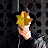 @lifeof_robbie Avatar
