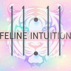Feline Intuition 11:11 net worth