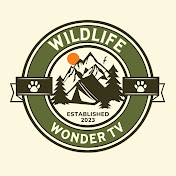 Wildlife Wonder TV