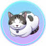 5zUcVluVHQY-channel-avatar-My Daily Shows
