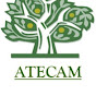 ATECAM Health and Wellness by Terrence Shenfield logo
