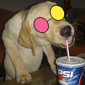 Nickyaboi