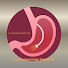 zj98cGL4pDA-channel-avatar-Gastroenterology Simplified
