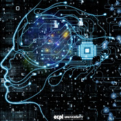 Information EDUCATION