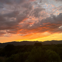 Japan Collectionアイコン画像