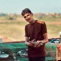 محمد الكويتي