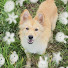 gm3WYwdqGoo-channel-avatar-Xiantanpoxirichang