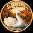 RYL1v6jGXMY-channel-avatar-ThijsVD