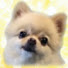 4ej9Aoq9wGY-channel-avatar-ピザラジロードショー