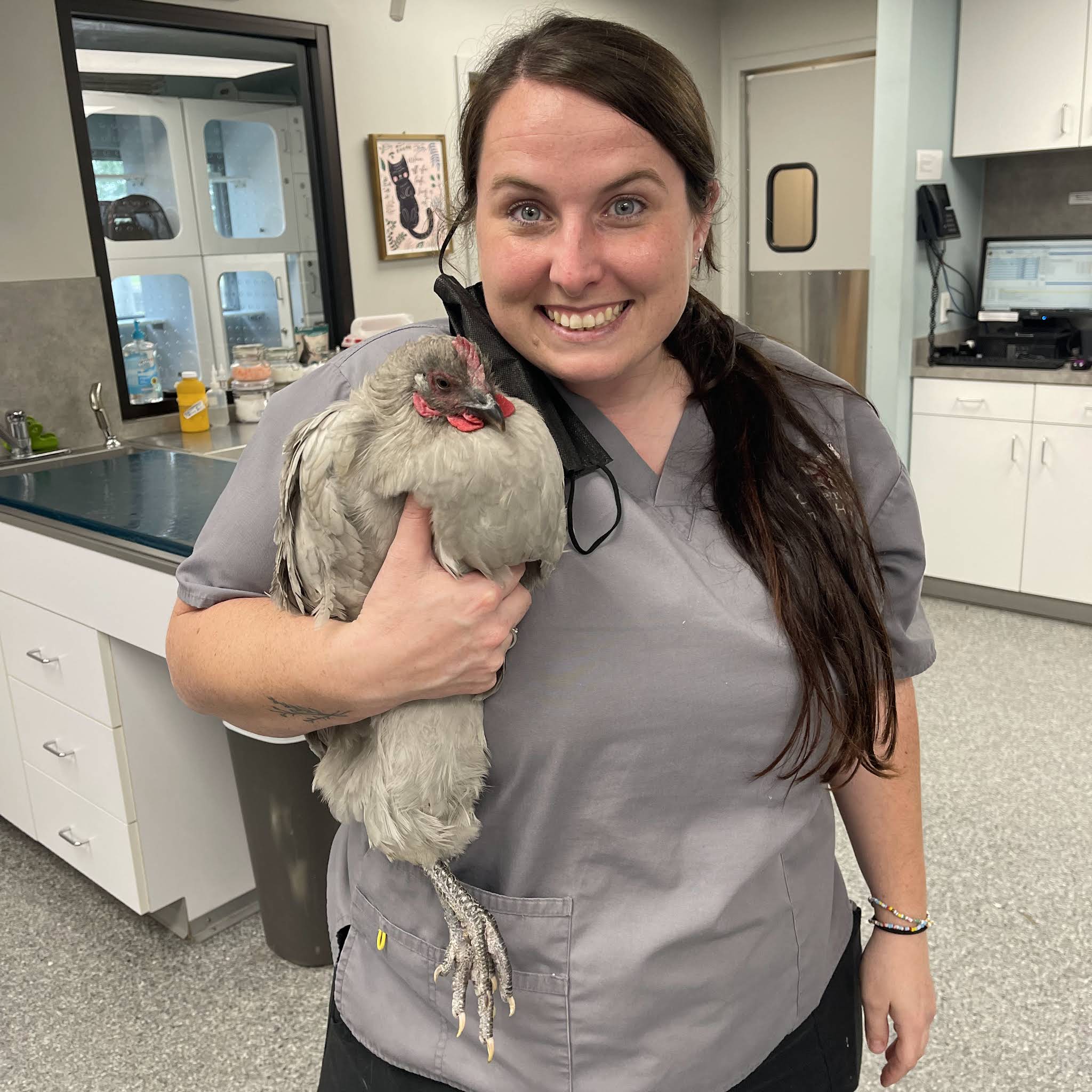 Post from Vet Ranch RoundUp