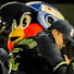 mpO7sTgdO0Q-channel-avatar-つばめンティンーtsubamentienー