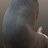 @웜홀-i6s
