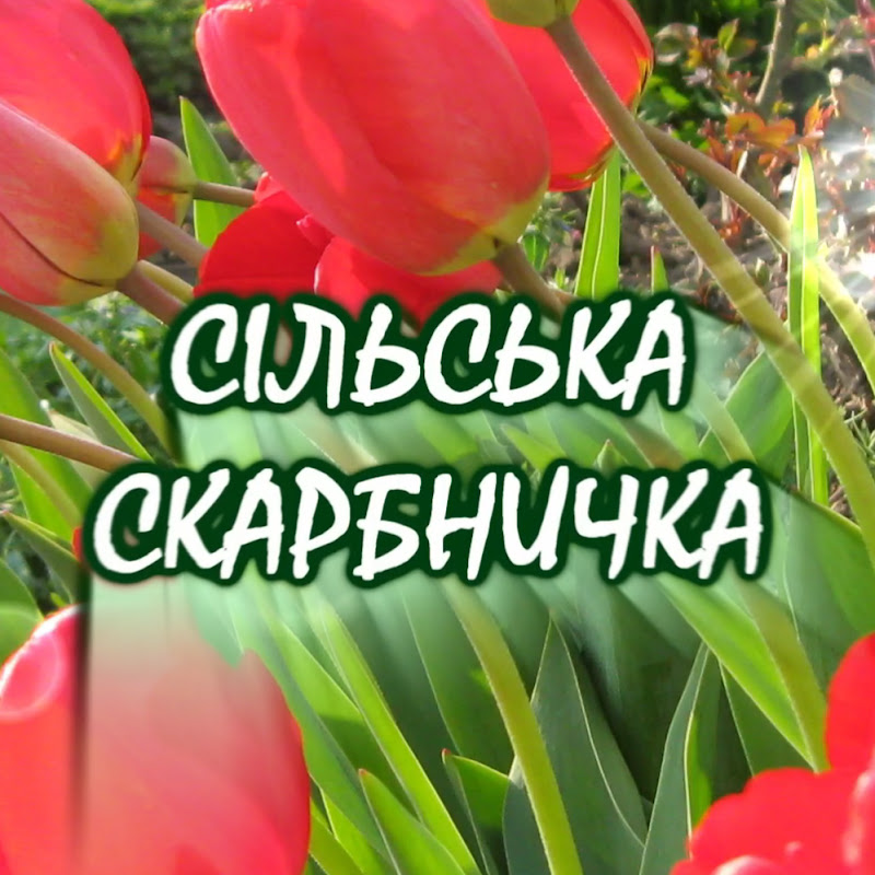 Сільська Скарбничка Logo