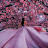 @ahmedsaid6030