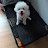 @u3gsy이코코