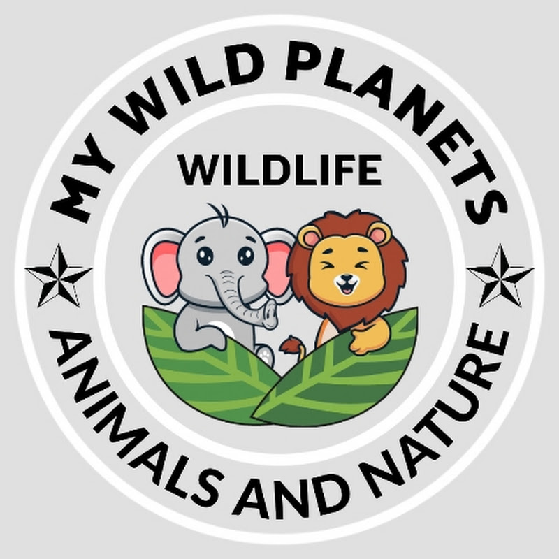 My Wild Planet