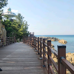 부스터my