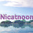 Nicatnoon