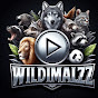 Wildimalzz YouTube channel avatar