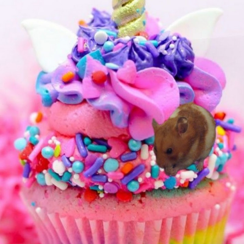 Cupcakes World!!!