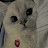 @لونا-ب4غ