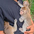 IjS6gNrXYT8-channel-avatar-Shubhan primate care