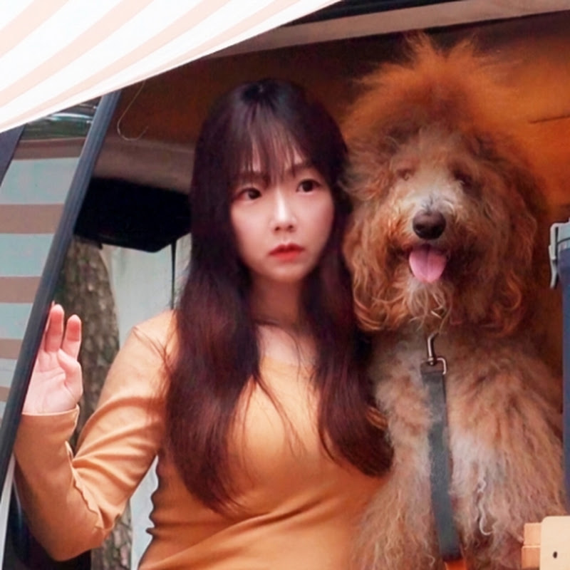 헤즐쓰 Hazels Camp