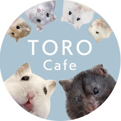 ハムスターチャンネル「TORO Cafe」アイコン画像