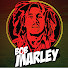 vV8XbuapL3k-channel-avatar-Bob Marley Collection