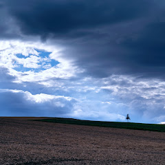 旅するプーさん