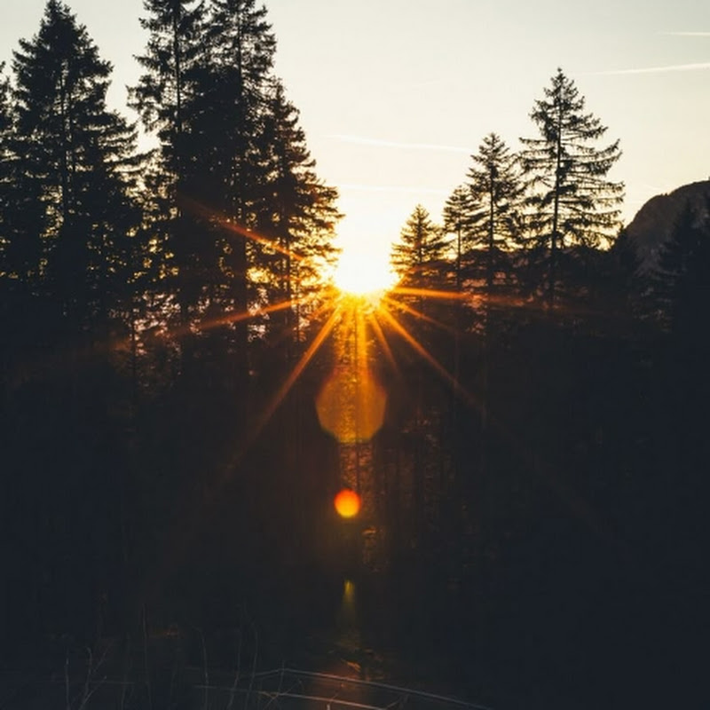 Kolaps icon