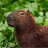 @rdbeas's avatar