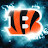 @bengalsfan04