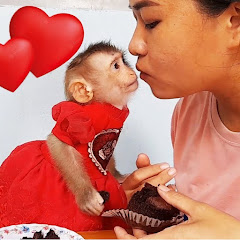 MONKEY LYLY Image Thumbnail