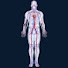 X8OCNxBme8s-channel-avatar-Human Decode