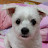 @우리두리만세