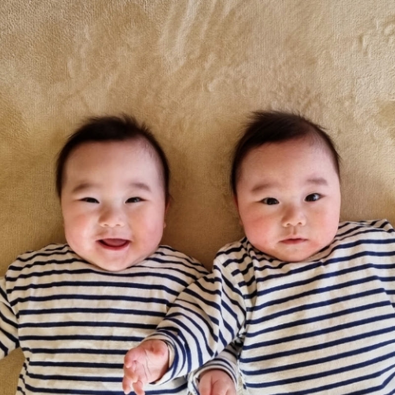 twin boys - 双子男子の30日間推移｜YouTubeランキング