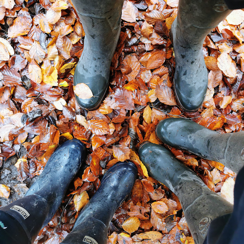 The Stanley's Adventures